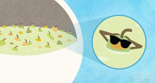 �졢�ס��Һ����ѾƼ����ˣ���Ȼ���г����Ѿƣ�