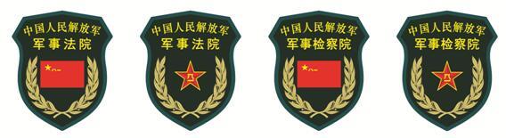 15式陆军臂章图片
