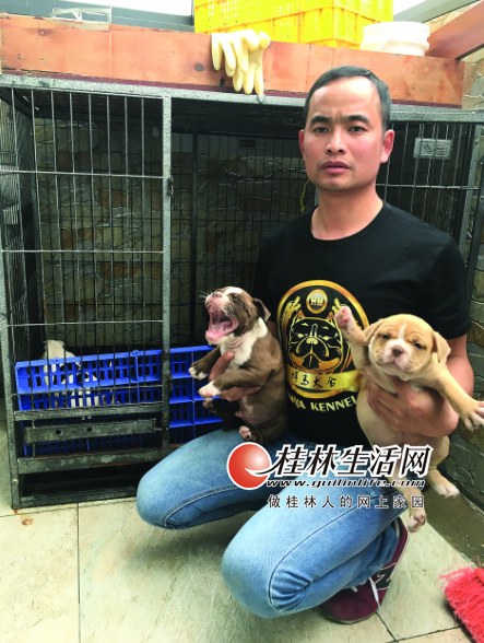 ͵�����賿͵9���������� �����ͻ�8��