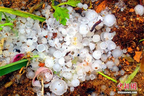 �Ϸ�����������ǿ ����ǿ����