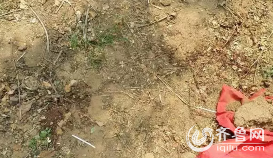 案发的小树林,小树林位于两个村庄的中间,位置偏僻,周围杂草丛生,几条羊肠小道通往村外,树林里一块显眼的红布被石头压在地上。