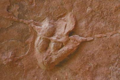 ���������Ŀ����㼣��