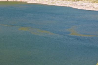 �·��㸽����ˮ���ϣ�����Ư�зɻ����µ����ա�