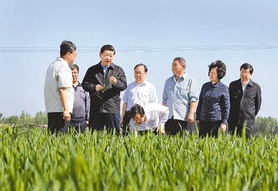 杨振刚的心态与三年前截然不同,彼时他守着自家的一亩三分地,没收入