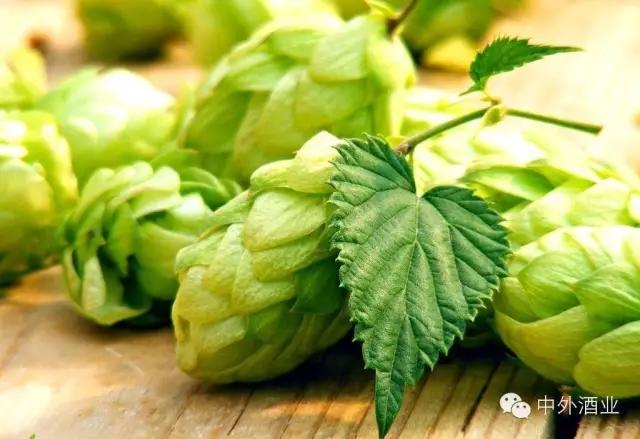 “酒教合一”的耶稣版图 基督教与葡萄酒