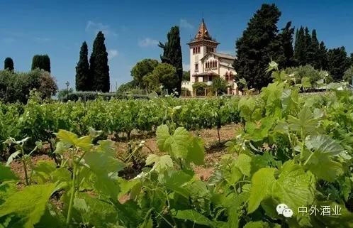 “酒教合一”的耶稣版图 基督教与葡萄酒