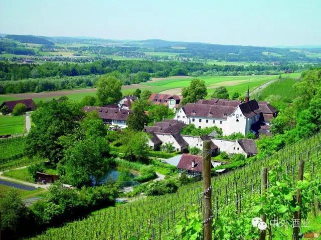 “酒教合一”的耶稣版图 基督教与葡萄酒