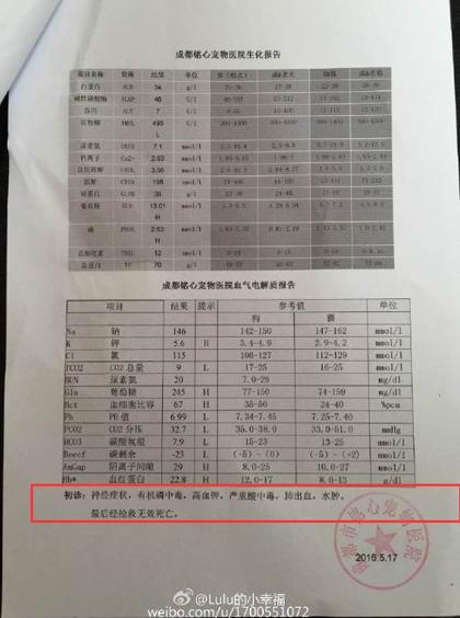 小区4天5条狗离奇死亡狗主人怀疑有人投毒图