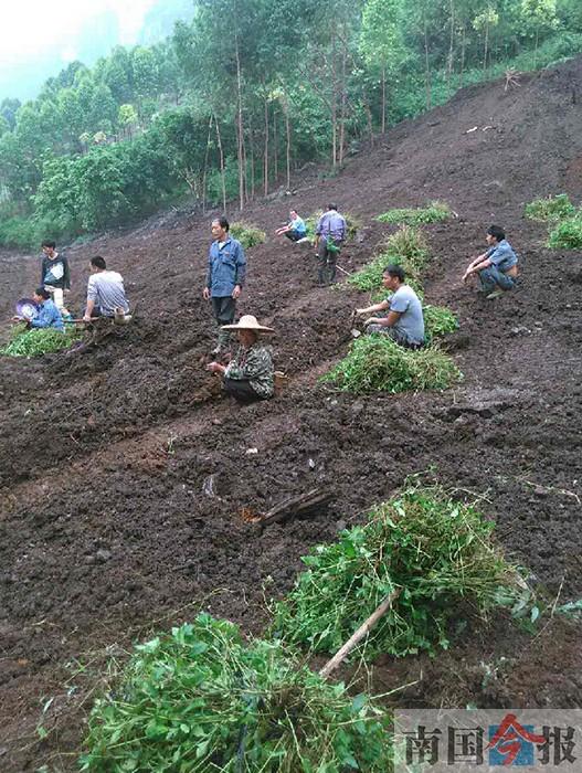 ������ɽ���ڳ�����