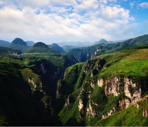 С���ٺ�ȥ�� ����������Լ�������»Σ� 