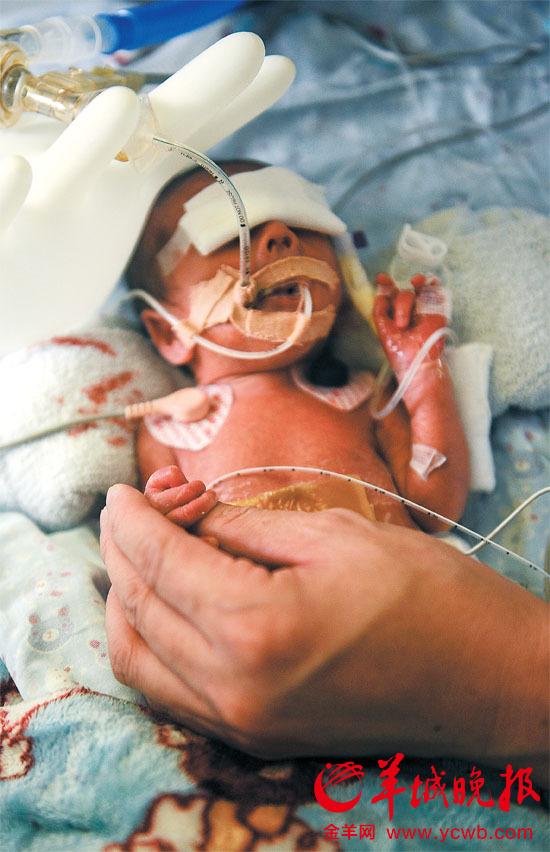 ���ֶ��룡������120����Ԯ��Σ��Ӥ