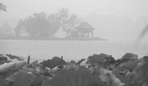 5日,济南出现了夏季少见的雾气。图为大明湖笼罩在雾中的情景。本报记者 周青先 摄