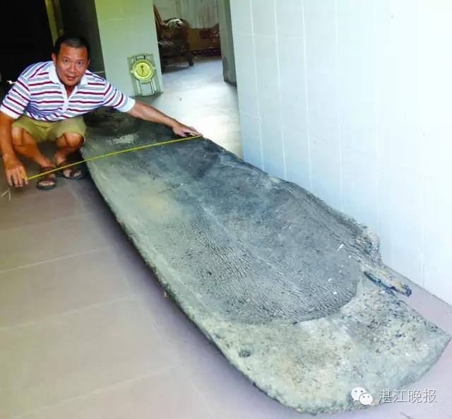 湛江吴川疑现“千年独木古舟” 重200多公斤