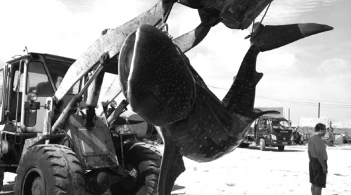 QQ��ͼ20160824102226