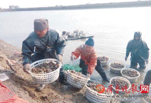 QQ截图20170116074850