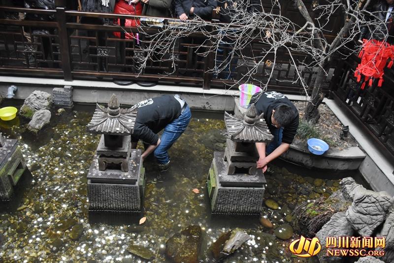 冰冷的池水中,工作人员手被冻得发红