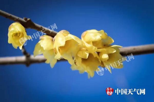 双休日北京晴暖适宜出游 周日夜间起能见度转差