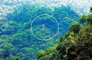 ̽�ûƹ������ӵأ����������ѽ�β������ͼ��