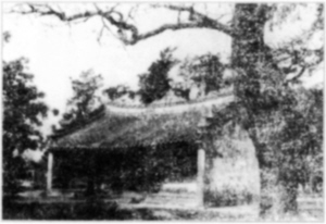 ���¸�������ʮ������첻����