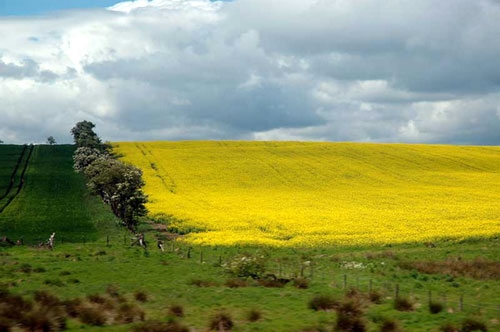 �����˵����ȼ����