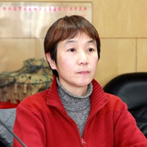 �����2011����Ļ�ɳ���α���飺������