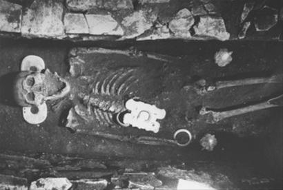 ţ������ַ��Ĺ������˫������������ǻƵۣ�