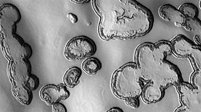 �����ϼ����־޴�ɱ��ӣ�