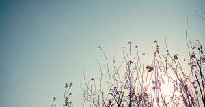 һ�����̲��˵����:��Я�����ǿ���Ĳ���