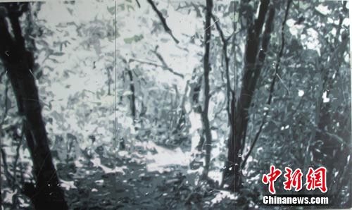 �����ơ��й�����������չ���Ĵ���չ����ͼ����6��