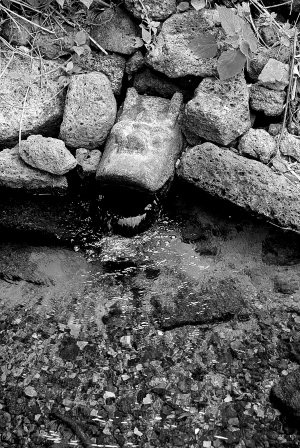 海南地名与“龙”的渊源:以“龙”命名的很可观