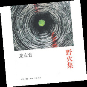 龙年搜寻含“龙”字眼作家作品:龙应台堪称龙头