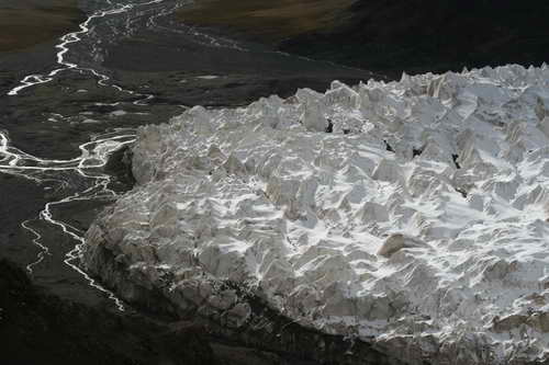 科学研究显示五亿年前苔藓登陆地球引发冰期(图)