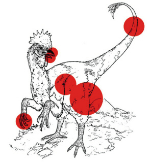 点图查看下一页