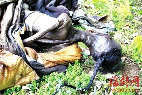 福建“清官员干尸”续:当地近年频发盗墓事件