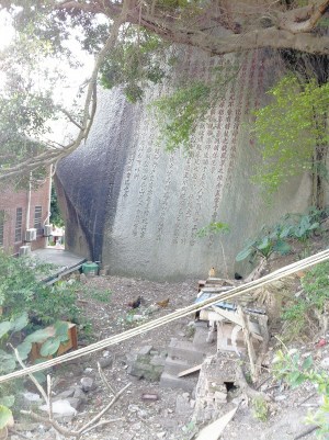 厦门最大摩崖石刻成野猫乐园杂草遍布垃圾满地