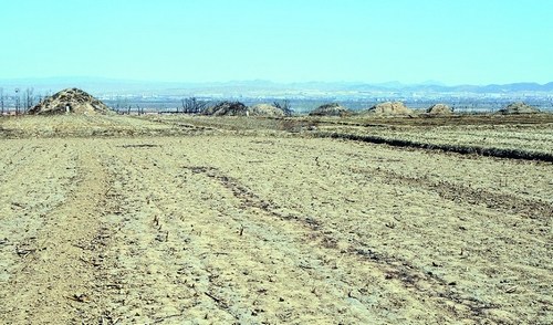河北大型汉墓群频遭盗贼夜袭持砍刀与警方对峙
