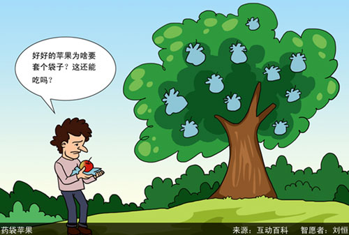 点图查看下一页