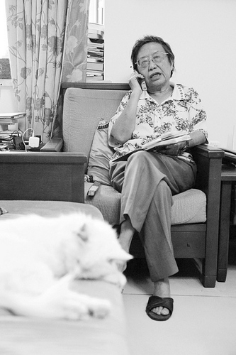 71������κ���ױ���26¥���е���ͣ������