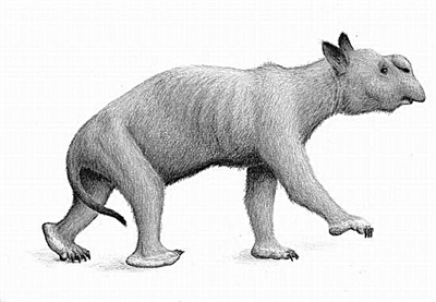 澳大利亚发现史上最大有袋动物距今250万年