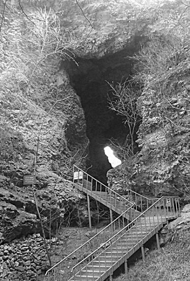 ����ֱ���˿�����ʳ��������˶�๷����ʬ��