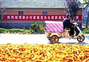 莫言的故乡高密:一座被诺贝尔奖改变的小城