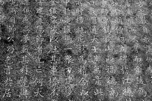栖霞山发现明万历石碑碑体区或为“圆通精舍”遗址