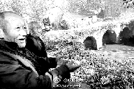 郑州最老石拱桥始建于隋唐至今仍可过载重汽车