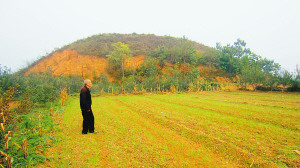 点图查看下一页