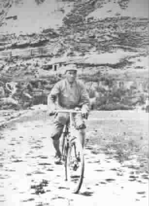 ����Ӱ������г��գ�ͼ��