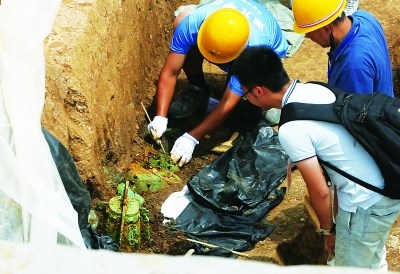 叶家山古墓5座编钟呼之欲出10匹马陪葬未超礼制