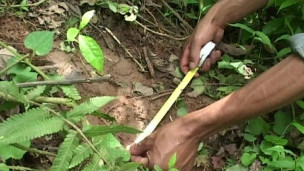 Ӣ��ѧ�ҳƽ⿪ϲ������ѩ��֮�գ�ͼ��