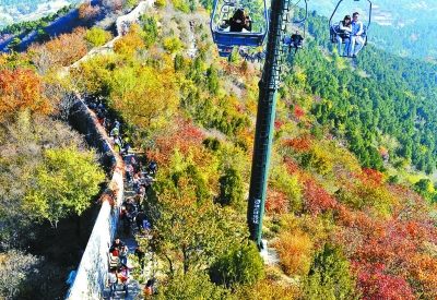 游客吐槽香山红叶:光看人了没看几片红叶(图)