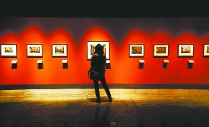 1850年德国皇宫现“中国风”汉字等成装饰元素