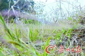 曝洪熙官葬于飞驼岭百年骸骨尚完好(图)